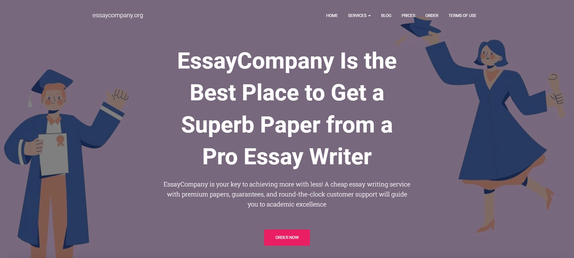essaywriting org